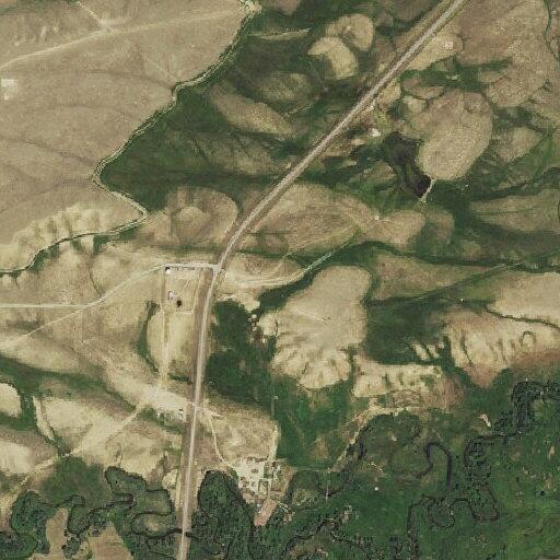 Loose cow blocking Wyoming Highway 13