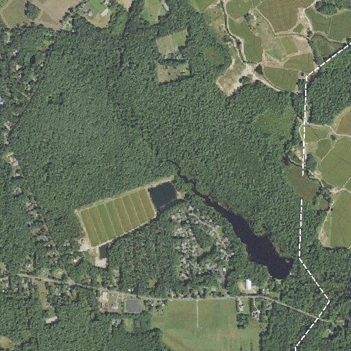 Man near Marion Road threatens to hurt others