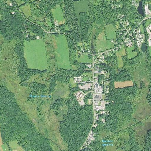 Psychiatric emergency involving 37-year-old male in Litchfield