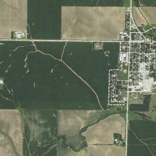 78-year-old female with bowel issues in Bennett