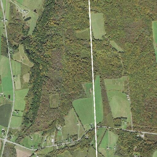 Elderly female falls near State Route 371 in Herrick Township