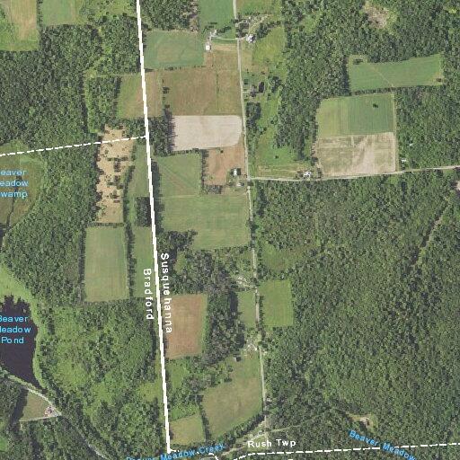 80-year-old woman with back pain at Whitney Road