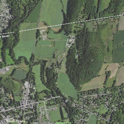 Domestic dispute over phone at Maple Lane home