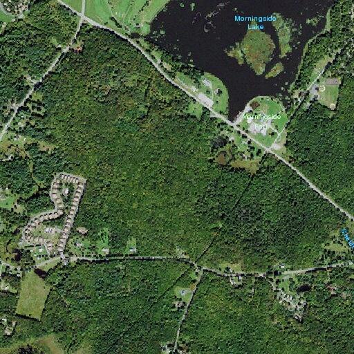 Female with fever and lethargy in Hurleyville