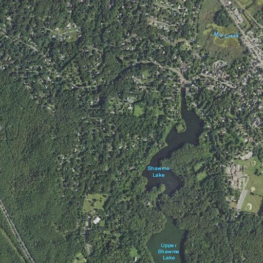 Female falls and hits head at Heritage Gardens