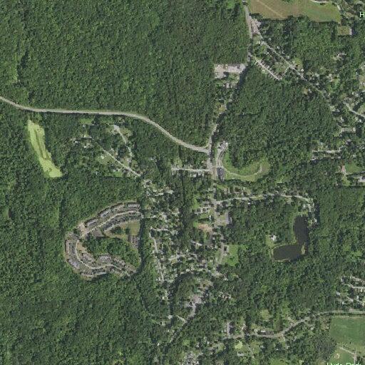 Elderly woman experiencing chest pain near Pinebrook Drive Hyde Park