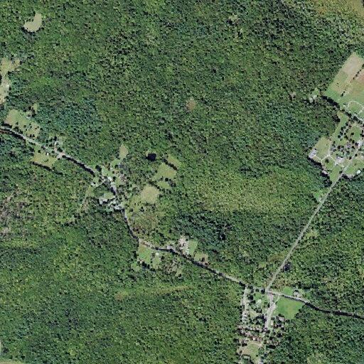 Teen feeling dizzy and faint near Briggs Highway in Ellenville