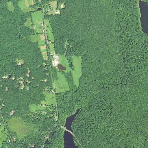 82-year-old woman with hemorrhage at Terryville Road