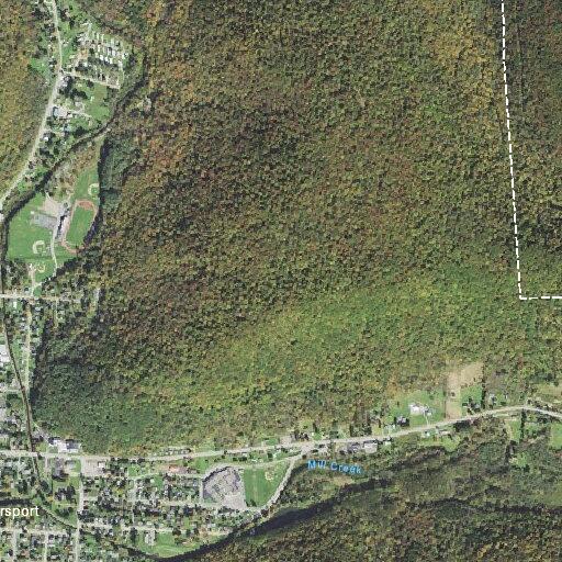 Resident reports shots fired near Mitchell Park