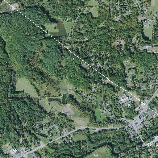 Car hits deer on Route 209, no injuries reported