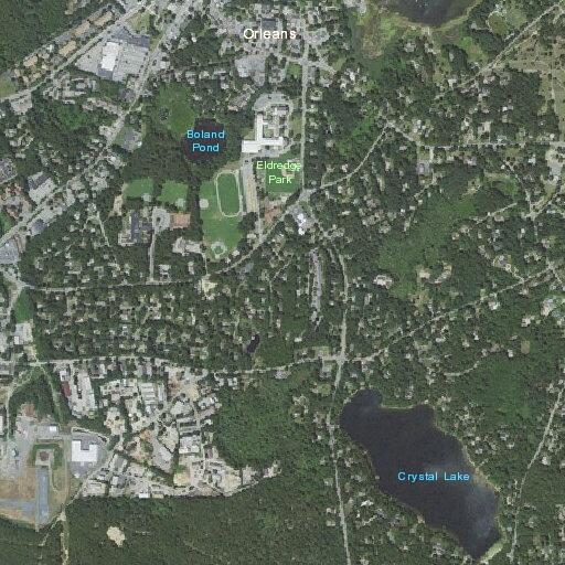 Allergic reaction with tongue swelling at Orleans apartment