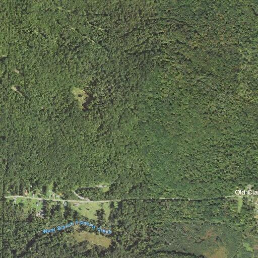Tree blocking roadway on Chapman Dam Road