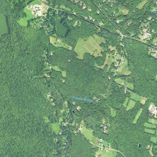 Woman in seventies falls and may have concussion