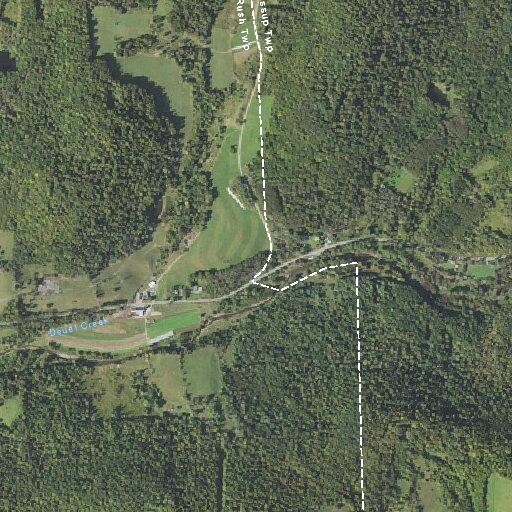 Tree blocking lane on PA Route 706 in Rush Township