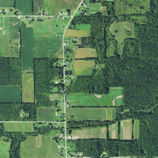 Suspicious person near abandoned house on Route 193