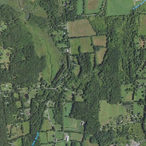 Woman has leg infection in Millbrook