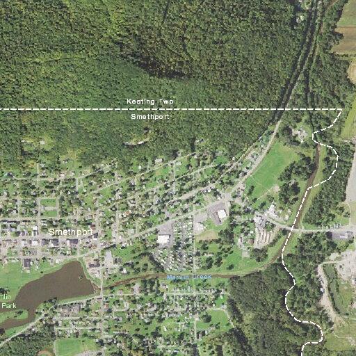 79-year-old woman with heart issues in Smethport