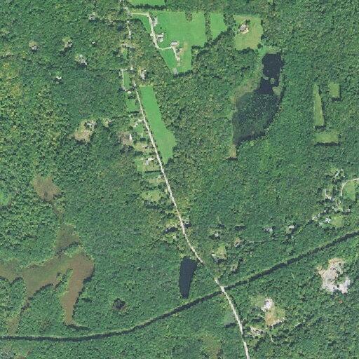 Search for missing man near Barrett Hill Road
