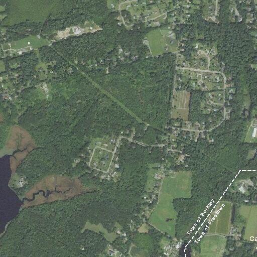 Elderly woman assisted near Bayview Avenue