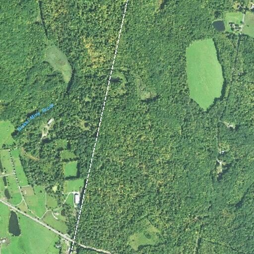 Suspicious incident involving man and woman at zoo