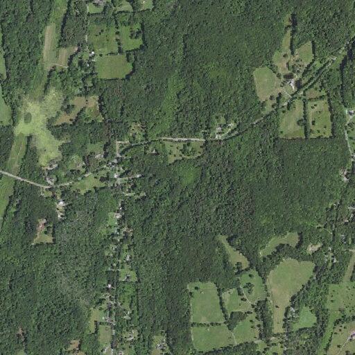 Minor with psychiatric emergency damages property near Sodom Road