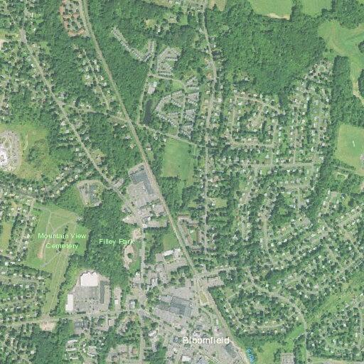 Woman with mental illness assaults mother near Woodland Avenue