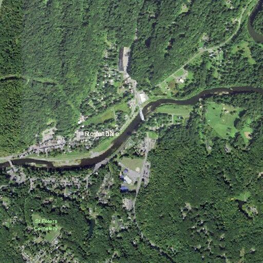 94-year-old female with allergic reaction in Rosendale
