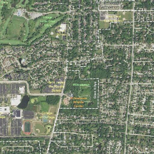 85-year-old woman falls and injures knee in Glen Ellyn