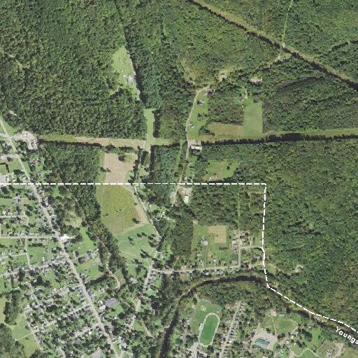 Unconscious person reported near Youngsville road