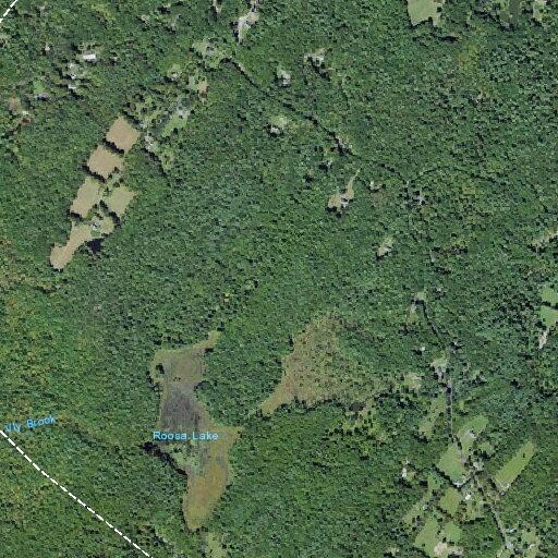 68-year-old man with possible stroke at Bone Hollow Road