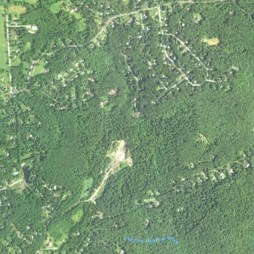 87-year-old woman with chest pain at Old Post Road