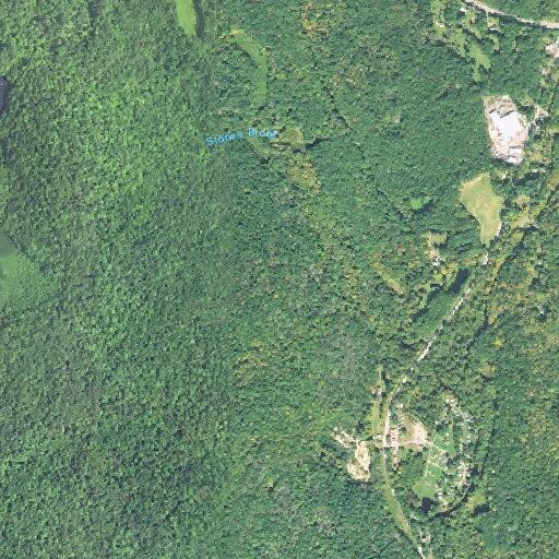Person experienced fainting at campground