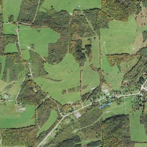 Elderly man with altered consciousness near Route 349 in Tioga County