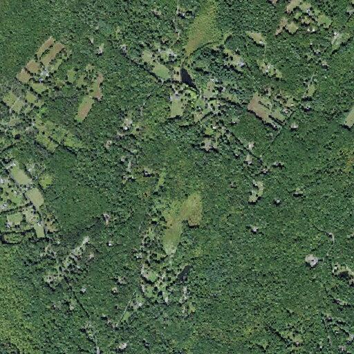 Attempted theft of service at Woodland Road campground