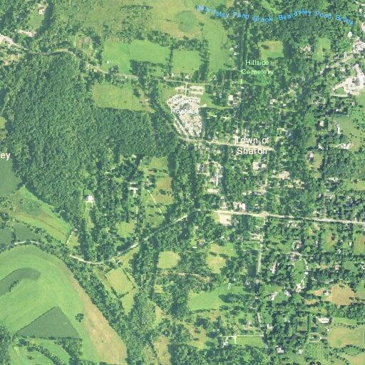 Woman near Amenia Road, Sharon at risk of stroke unable to move