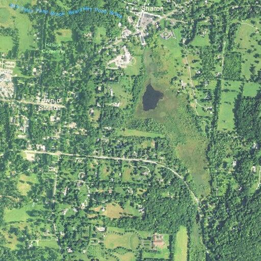 90-year-old male with possible allergic reaction in Sharon
