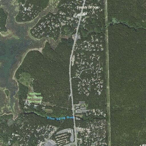 Person with leg rash and pain near Capt Bellamy Rd