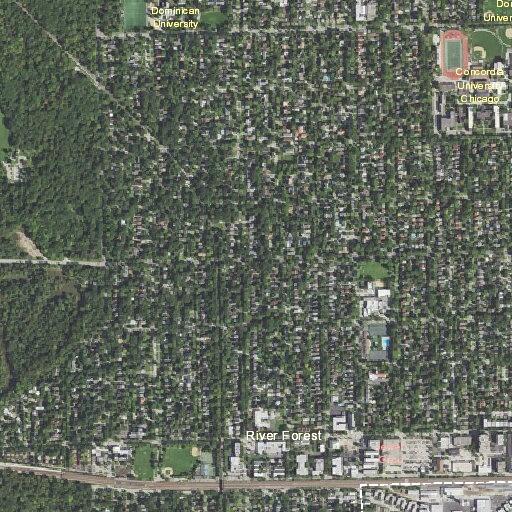 Power line issue on Park Avenue in River Forest