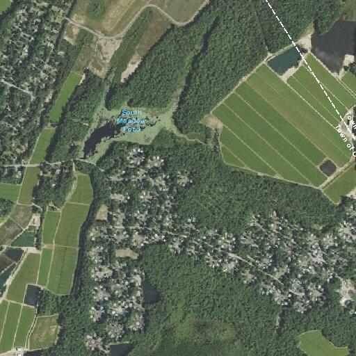Unwanted guest reported at South Meadow Village
