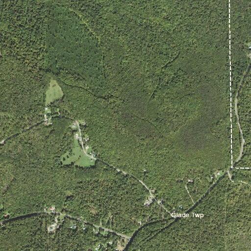 Tree on wires blocking Egypt Hollow Road