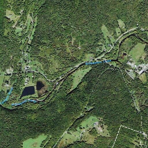67-year-old man with ankle injury at Beaver Lake Rd
