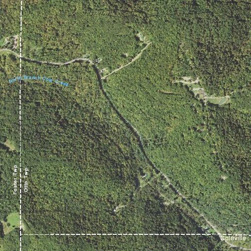 Person experiencing dizziness near Coldville Road, Otto Township