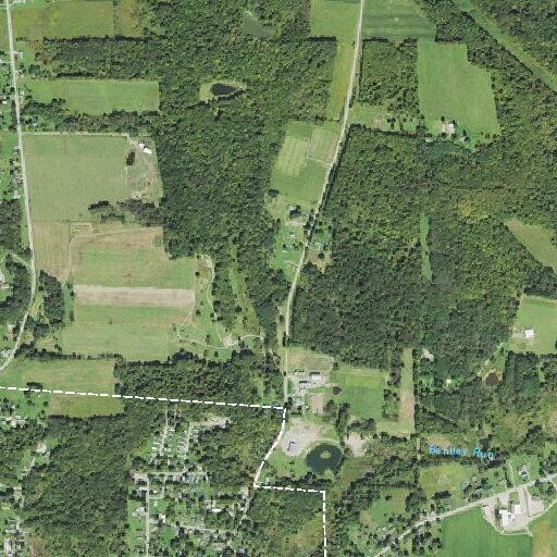 Elderly female ill near North Street in Union City