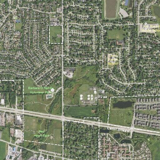 Elderly woman falls and fractures bone in Carol Stream