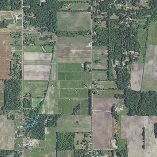 65-year-old male with possible stroke in Bridgman