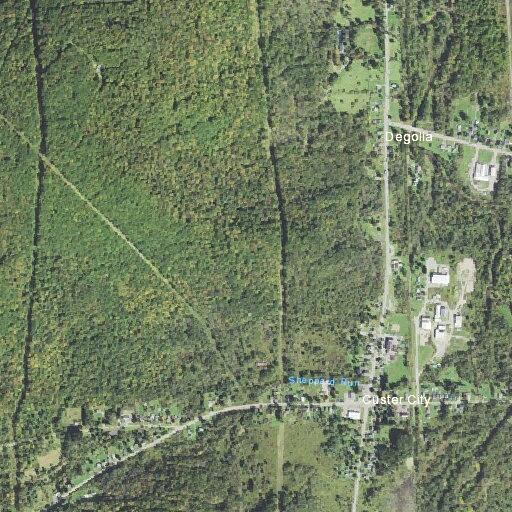 Man with altered mental status at South Avenue residence