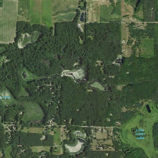 68-year-old male injured by fallen tree in woods