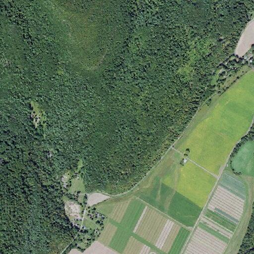 Elderly man with altered mental status reported in Hurley