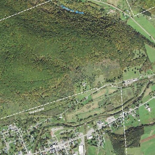Person with abdominal pain near River Street, Westfield