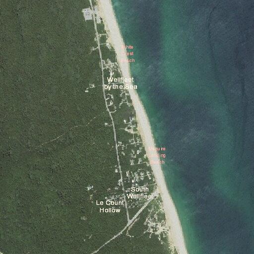 Loose dog reported near Lecount Hollow Beach
